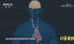 心脏跳动视频,揭秘心脏跳动的奥秘